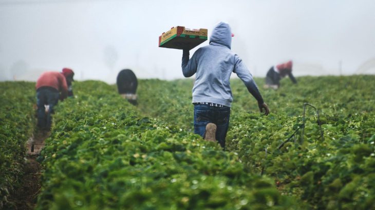 ブロックチェーンはどのようにして小規模農家を気候リスクから守るか