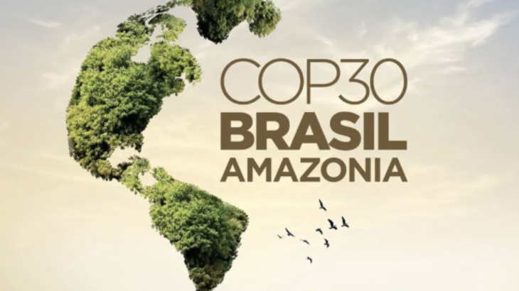 「COP30と日本の立ち位置」：化石燃料廃止ロードマップから見る世界と日本のリアル